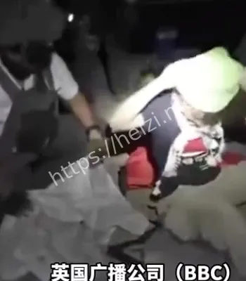 环保少女海上行动复盘